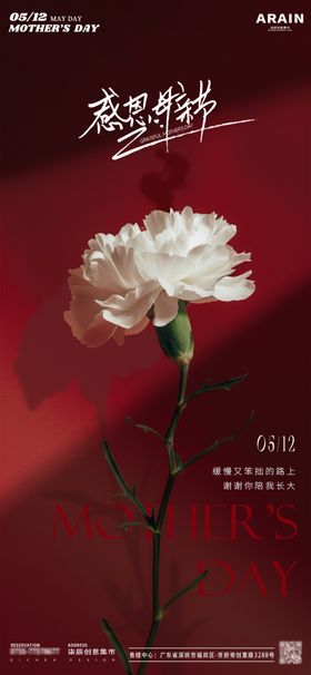 母亲节海报灯光花朵红色康乃馨
