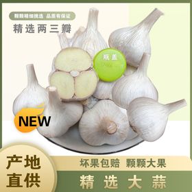 大蒜宣传网页