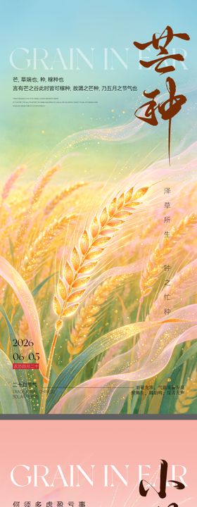 节气海报芒种小满海报