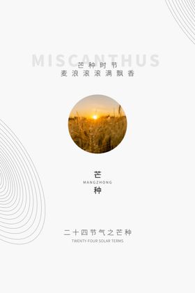 传统二十四节气芒种主题海报
