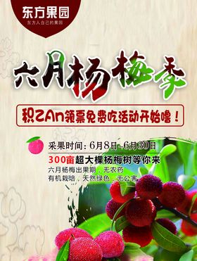 61儿童节杨梅采摘活动主kv
