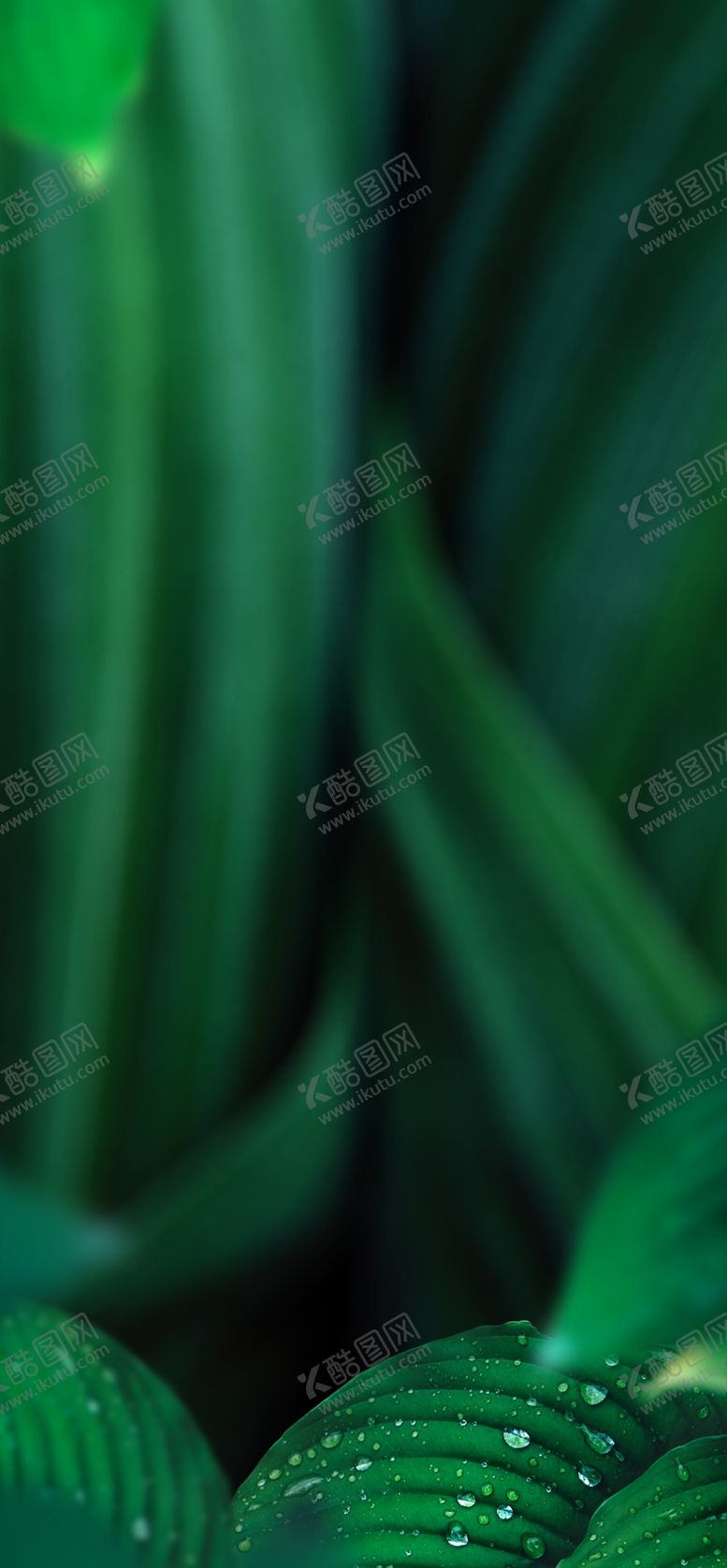 编号：40362110141557444520【酷图网】源文件下载-绿色背景