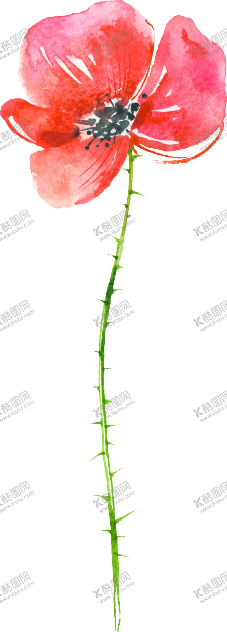 编号：90016105110752261206【酷图网】源文件下载-水彩手绘花卉花朵植物