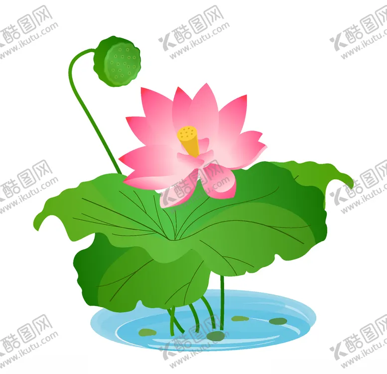 编号：88349504281408521460【酷图网】源文件下载-盛开的粉色荷花插画