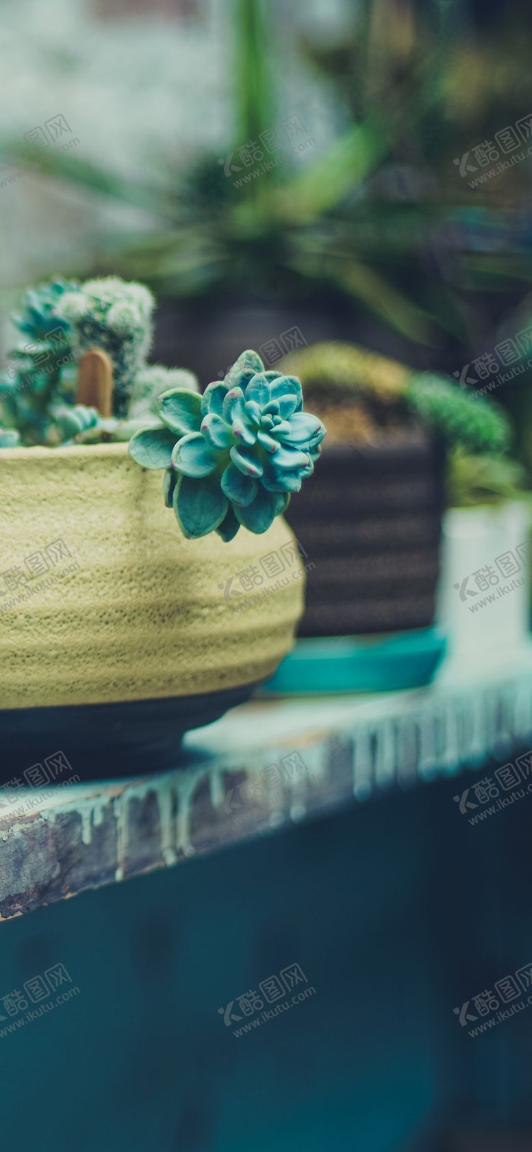 编号：19806209242319057879【酷图网】源文件下载-手机壁纸