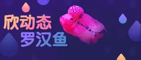 淘宝宝贝主图轮播banner