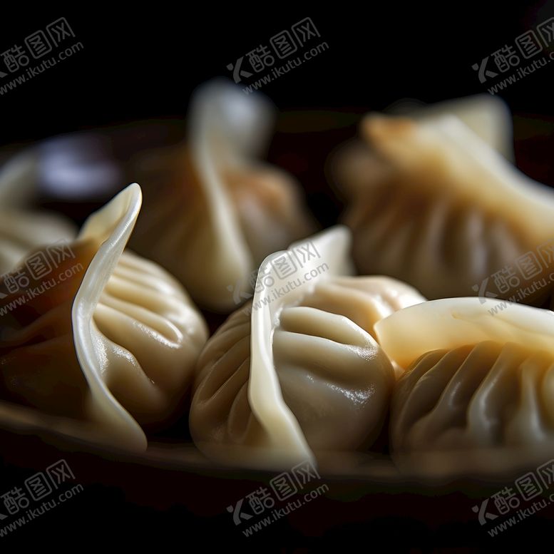编号：70631611071717284125【酷图网】源文件下载-蒸饺