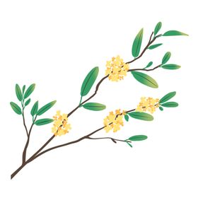 桂花枝头枝叶八月半海报素材