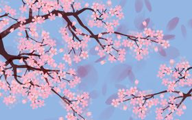 樱花