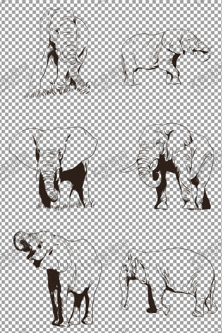 编号：21195610121410475381【酷图网】源文件下载-手绘大象