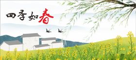油菜花