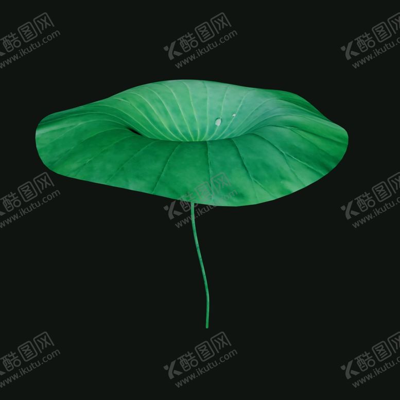 编号：33497402160546538680【酷图网】源文件下载-荷叶PSD