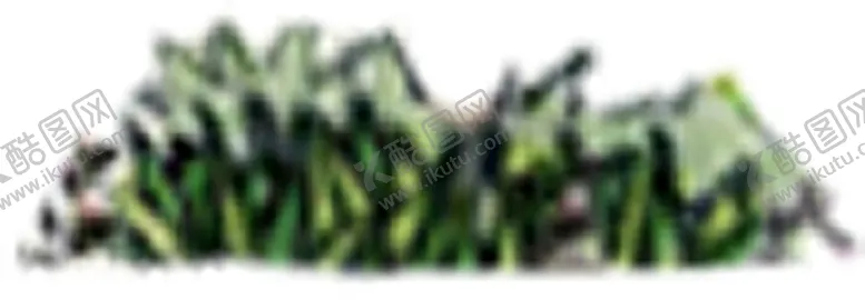 编号：22837707011605282169【酷图网】源文件下载-绿色植物