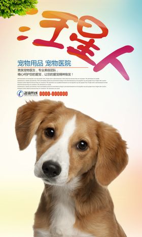 汪星人