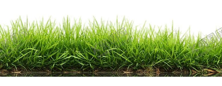 编号：22663109151251352468【酷图网】源文件下载-绿色背景