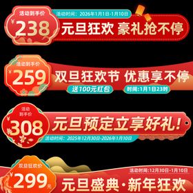 元旦双旦促销优惠信息