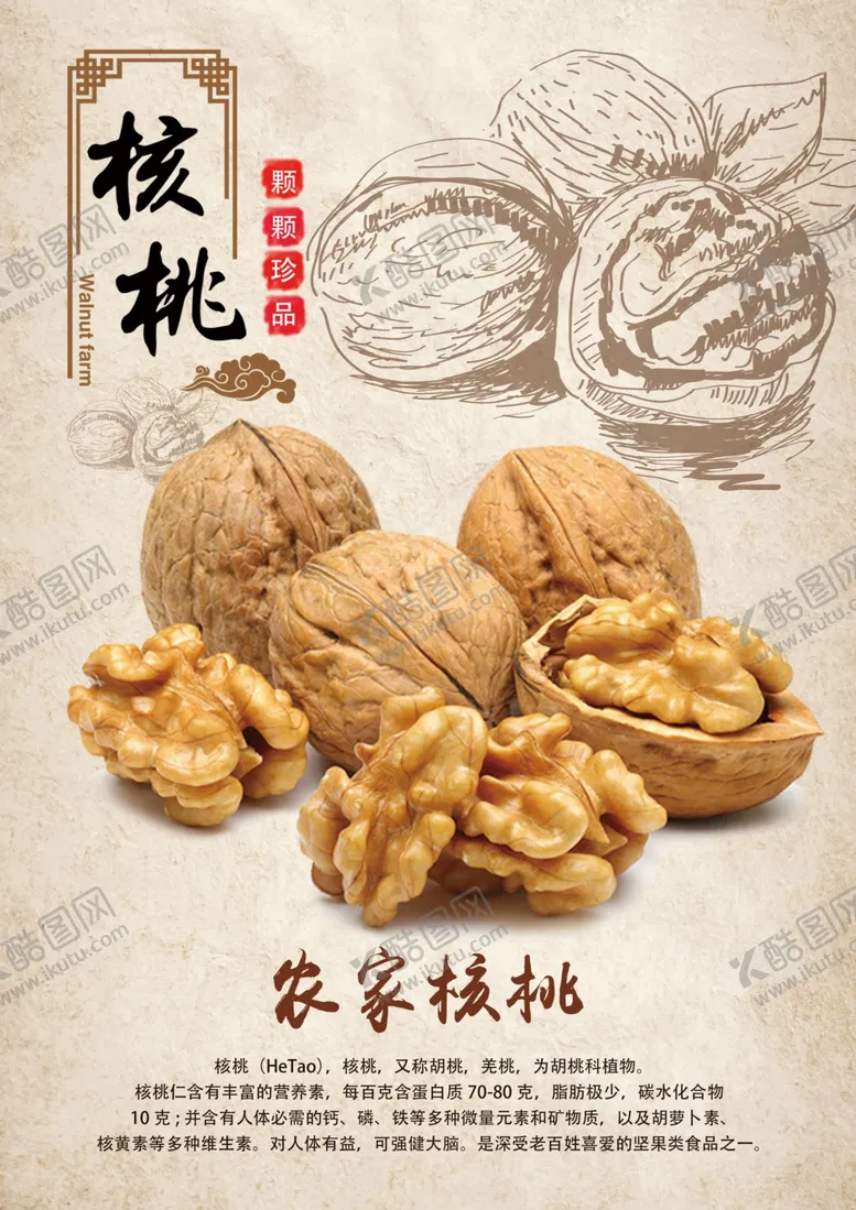 编号：53905403280652355712【酷图网】源文件下载-农家核桃海报