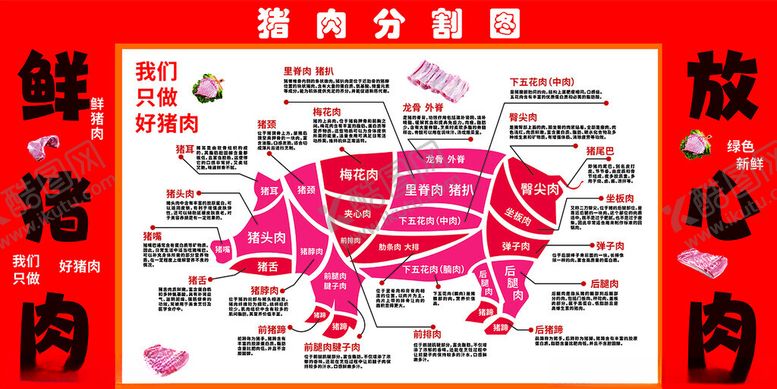 编号：86726810120202275803【酷图网】源文件下载-猪肉分割图猪肉部位分割图猪