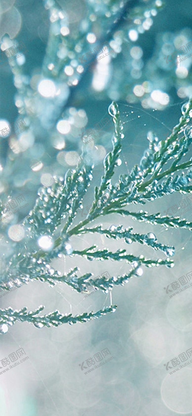 编号：15845909291903342985【酷图网】源文件下载-手机壁纸