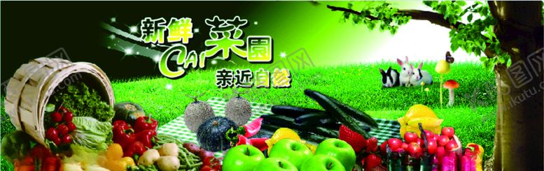 编号：37031709201124041436【酷图网】源文件下载-水果新鲜图