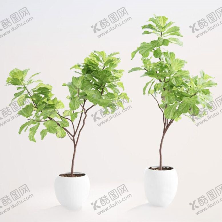 编号：88146112230355315818【酷图网】源文件下载-C4D模型绿色植物