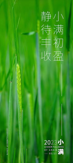 小满海报