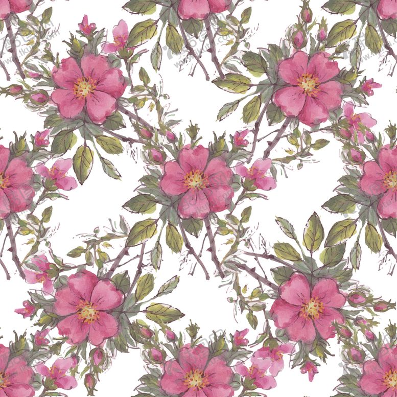 编号：16720710281430379355【酷图网】源文件下载-植物花儿