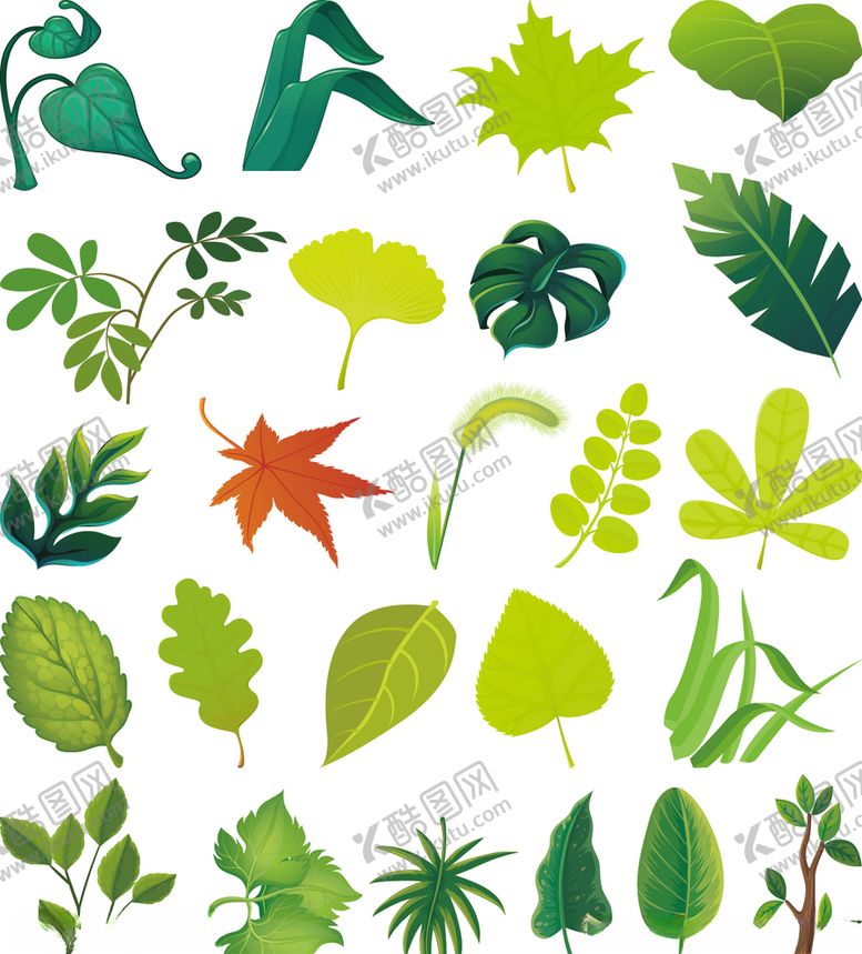编号：35302909220838045878【酷图网】源文件下载-叶子