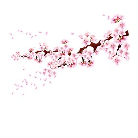 中国风水墨花卉PNG免扣明信片古彩插画