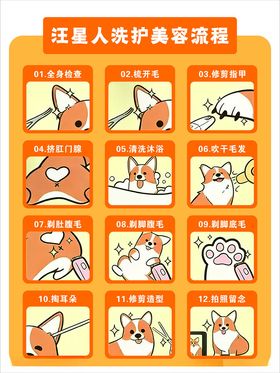 宠物洗护美容流程