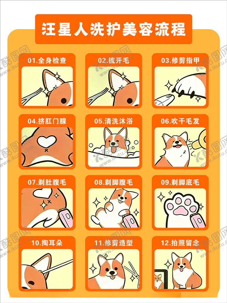 编号：18076604021217248209【酷图网】源文件下载-宠物洗护美容流程