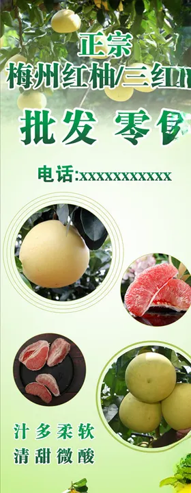 柚子批发