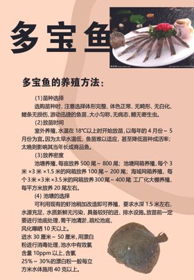 多宝鱼
