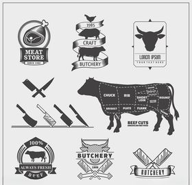 骨骼肌肉解剖结构图