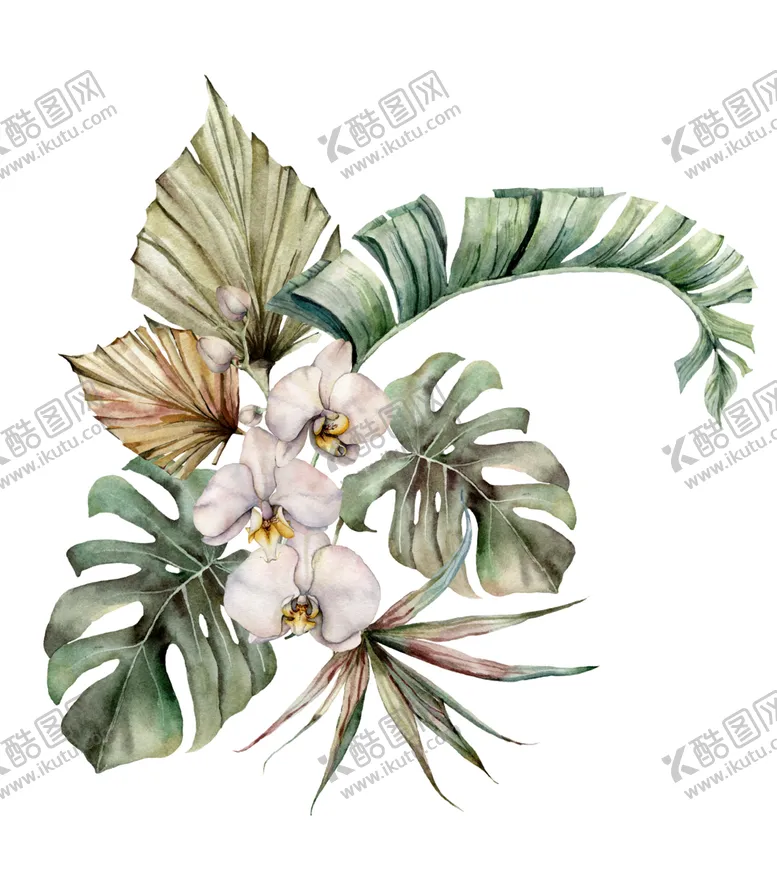 编号：72482406181733384363【酷图网】源文件下载-植物花朵装饰图案