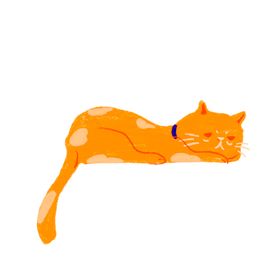 手绘卡通猫图片风格形象小熊