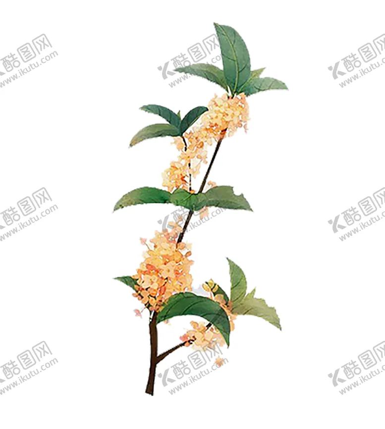 编号：29223407020809145117【酷图网】源文件下载-绿色植物
