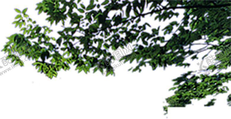 编号：11847909181315122165【酷图网】源文件下载-绿色背景