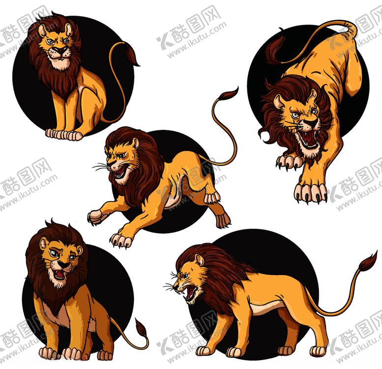 编号：24251209291046213283【酷图网】源文件下载-狮子