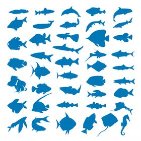 蓝色鱼类剪影集合