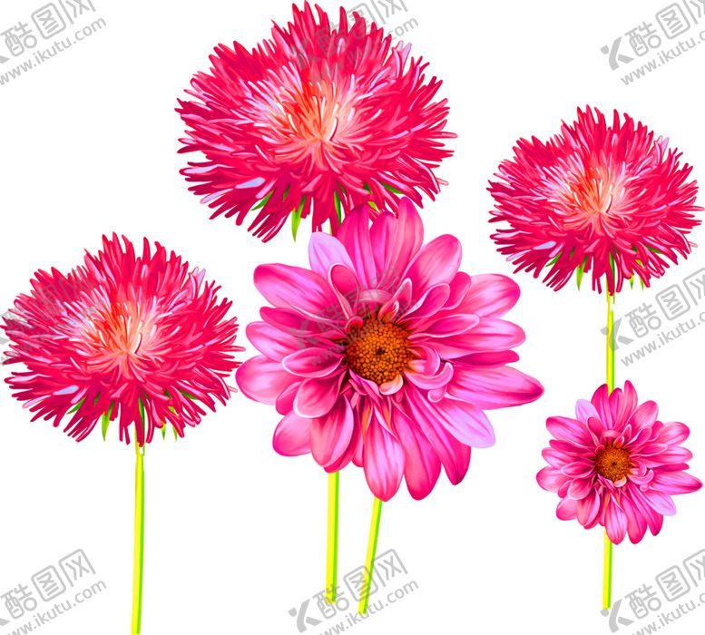 编号：28345609150300314800【酷图网】源文件下载-花素材