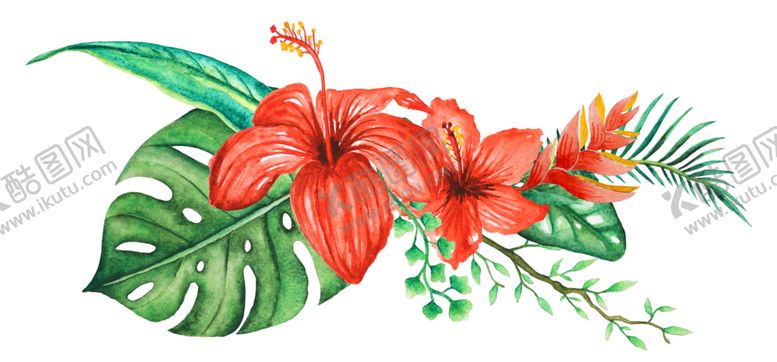 编号：70854211010201493714【酷图网】源文件下载-清新水彩植物花朵插画