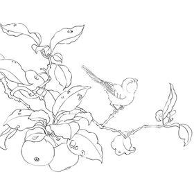 花鸟树