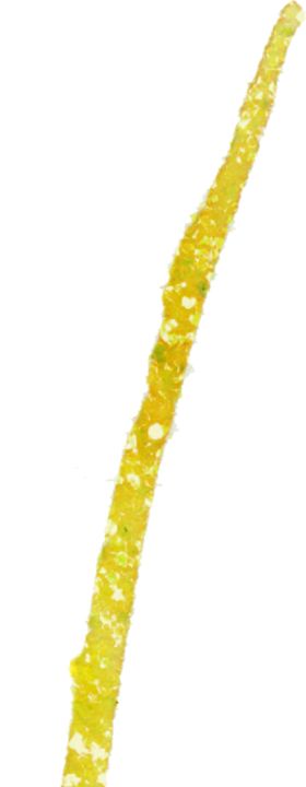 水彩手绘花卉花朵植物