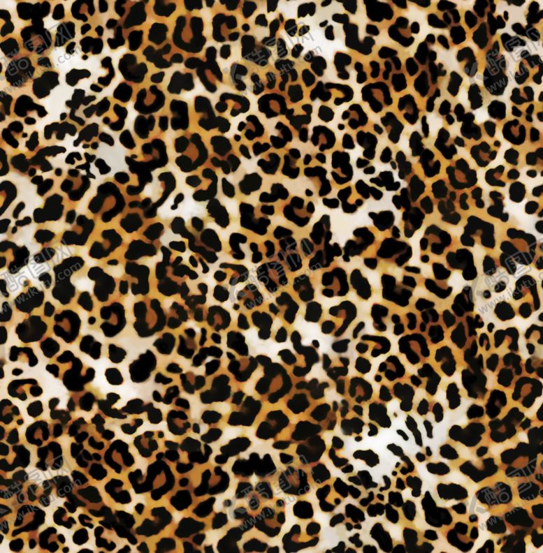 编号：36595609290942177608【酷图网】源文件下载-虎纹