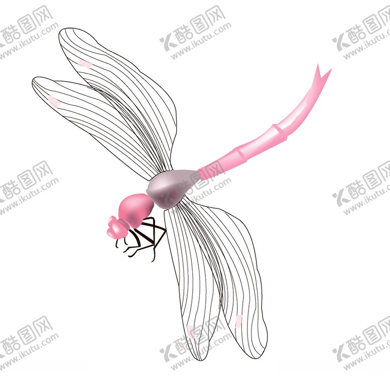 编号：19713606180512473906【酷图网】源文件下载-蜻蜓昆虫图片插画