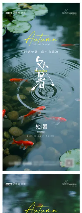处暑黄瓜系列海报