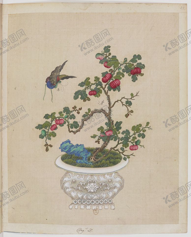 编号：57797703301346158613【酷图网】源文件下载-盆景花鸟