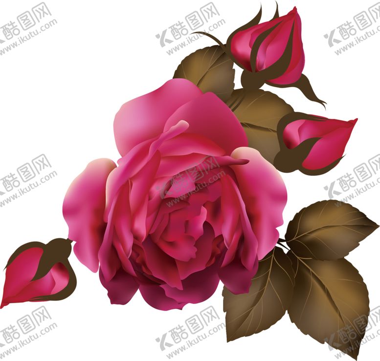 编号：65518309261142549432【酷图网】源文件下载-鲜花素材