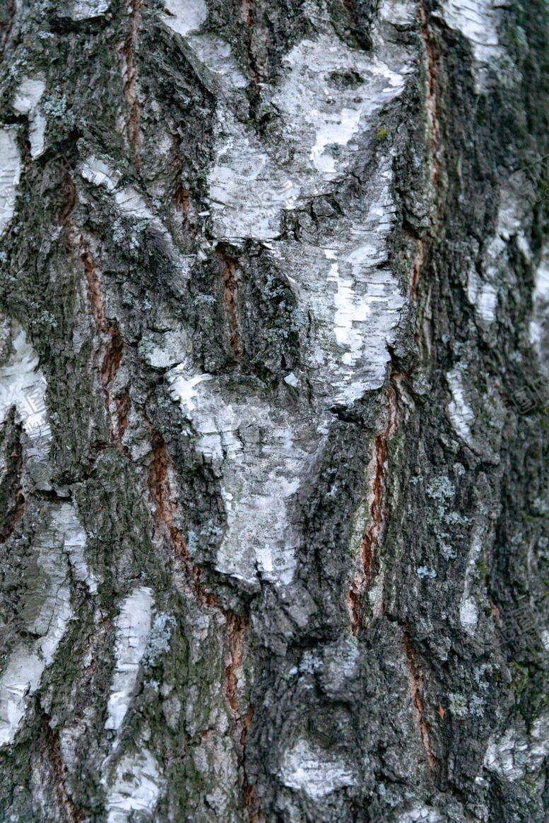 编号：76013409211650356168【酷图网】源文件下载-木纹